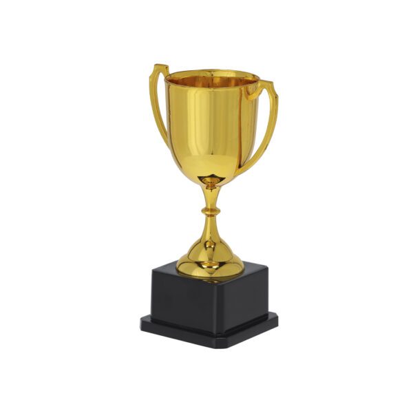 Trofeo Nynor - Imagen 2