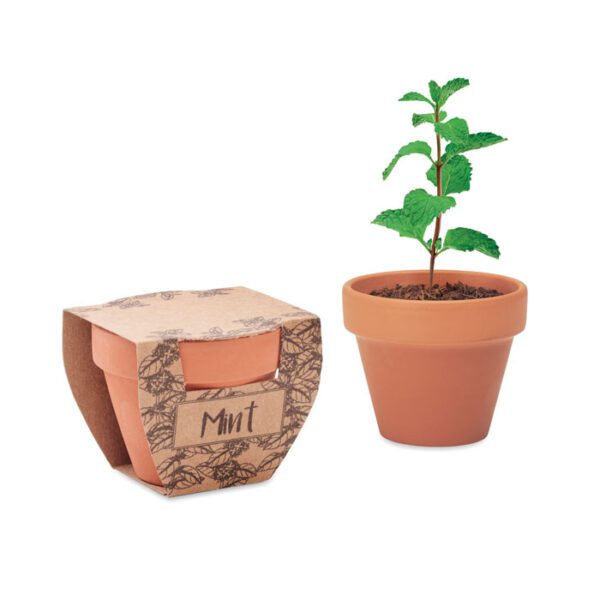 Maceta con semillas de menta MINT POT - Imagen 2