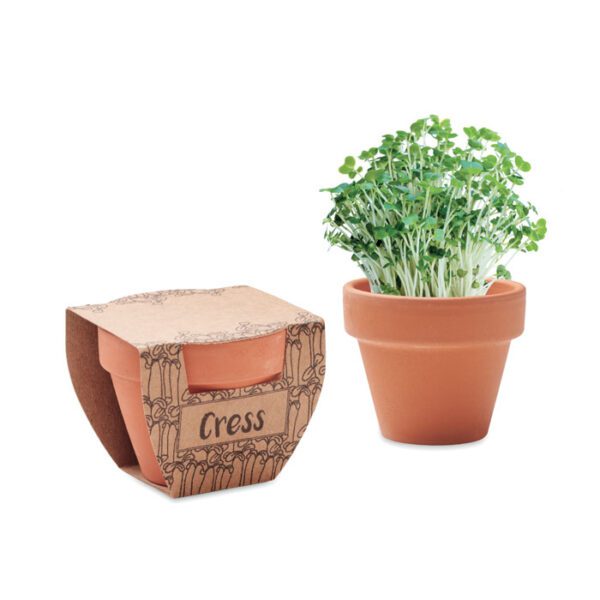Maceta con semillas de berro CRESS POT - Imagen 2