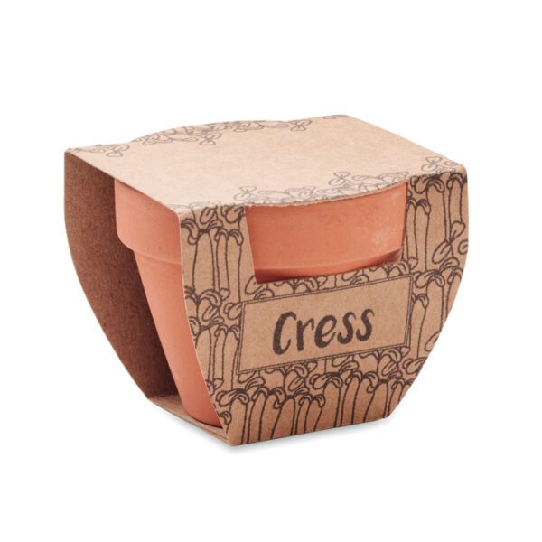 Maceta con semillas de berro CRESS POT - Imagen 4