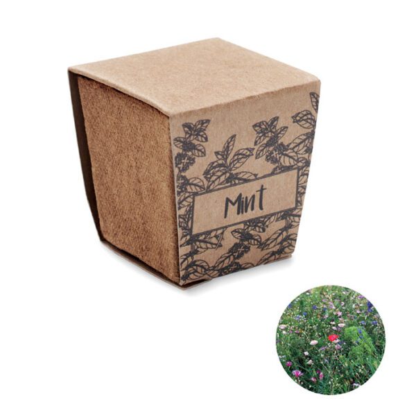 Kit cultivo semillas de menta MINT KIT - Imagen 2