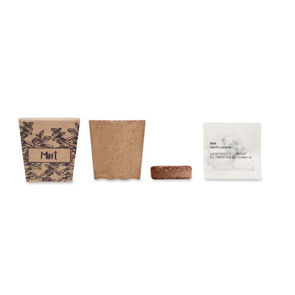 Kit cultivo semillas de menta MINT KIT - Imagen 3