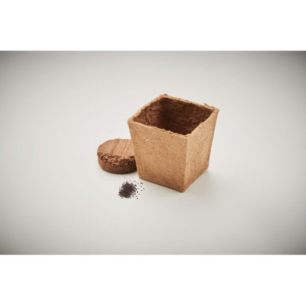 Kit cultivo semillas de menta MINT KIT - Imagen 7