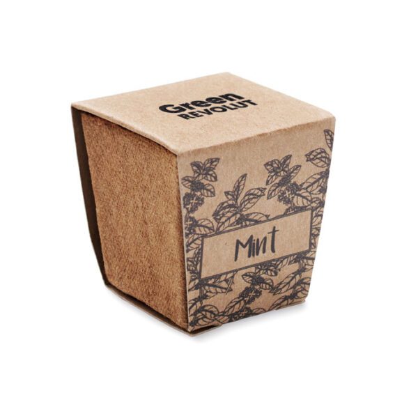 Kit cultivo semillas de menta MINT KIT - Imagen 6