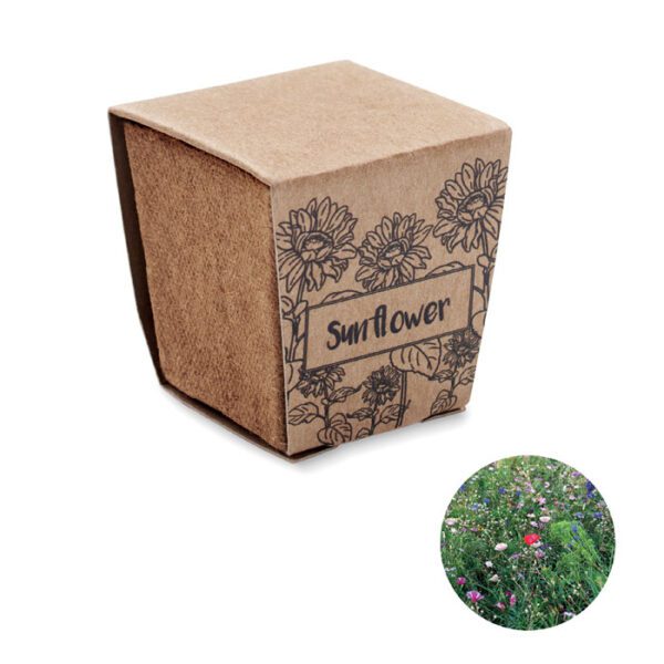 Kit de cultivo de girasoles SUNFLOWER KIT - Imagen 2