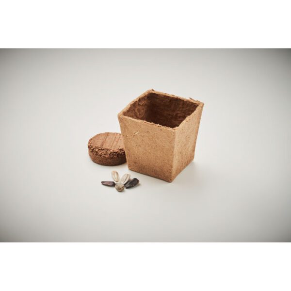 Kit de cultivo de girasoles SUNFLOWER KIT - Imagen 7