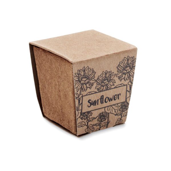 Kit de cultivo de girasoles SUNFLOWER KIT - Imagen 9