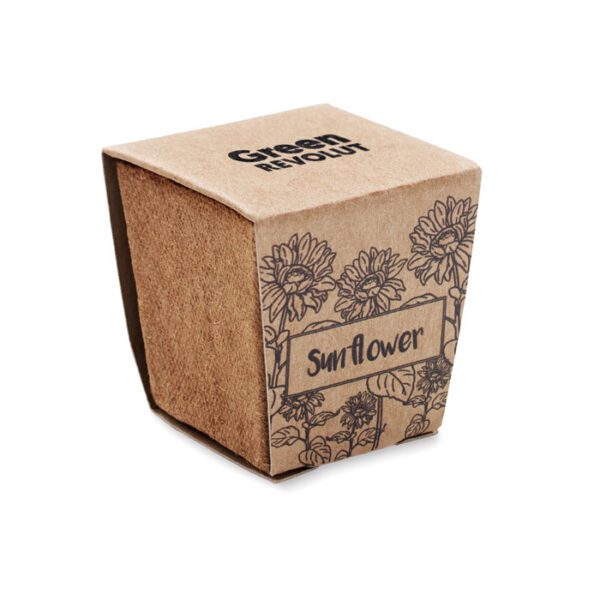 Kit de cultivo de girasoles SUNFLOWER KIT - Imagen 6