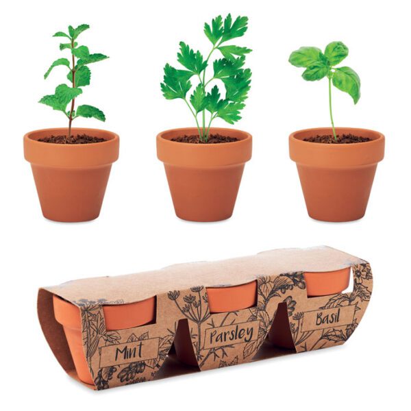 Juego de macetas de terracota FLOWERPOT - Imagen 2
