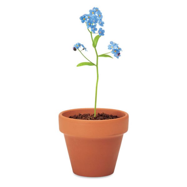 Juego de macetas de terracota FORGET ME NOT - Imagen 6