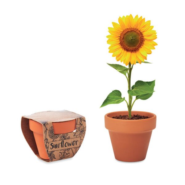 Juego de macetas de terracota SUNFLOWER - Imagen 2