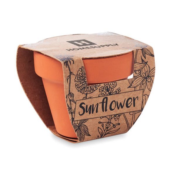 Juego de macetas de terracota SUNFLOWER - Imagen 5