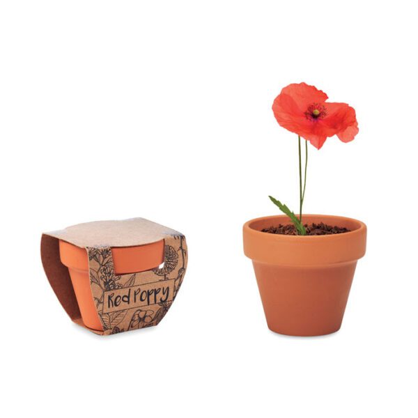 Juego de macetas de terracota RED POPPY - Imagen 2