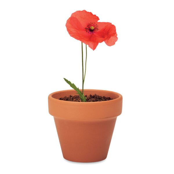Juego de macetas de terracota RED POPPY - Imagen 5