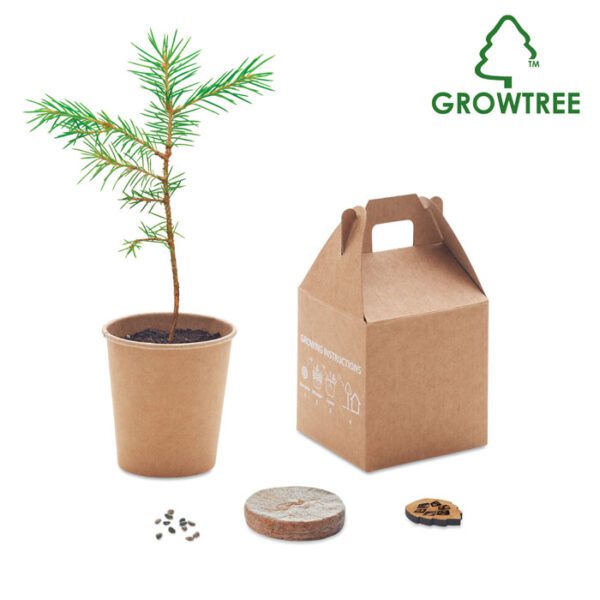 Set pino GROWTREE™ - Imagen 2