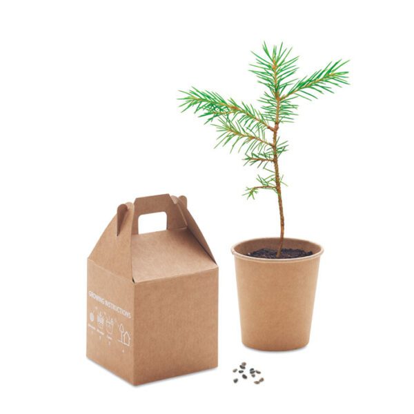 Set pino GROWTREE™ - Imagen 4