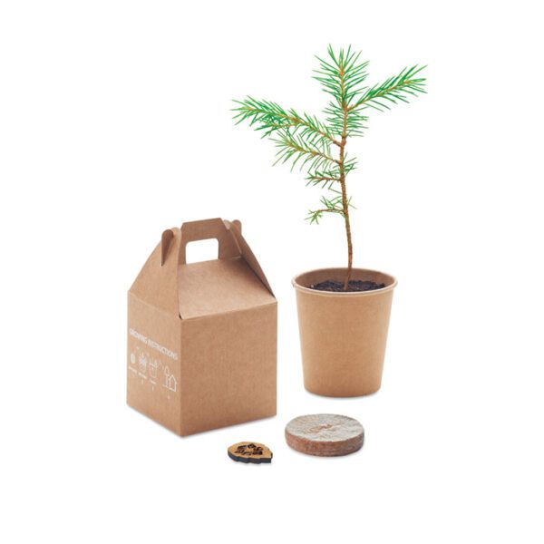 Set pino GROWTREE™ - Imagen 5
