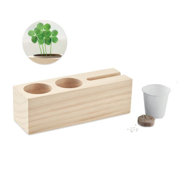 Set sobremesa kit de semillas THILA - Imagen 2