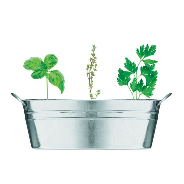 Maceta de zinc con 3 semillas MIX SEEDS - Imagen 3