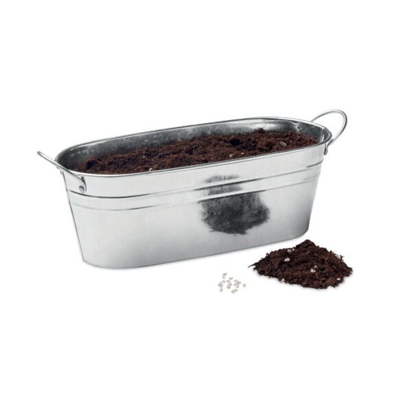 Maceta de zinc con 3 semillas MIX SEEDS - Imagen 4