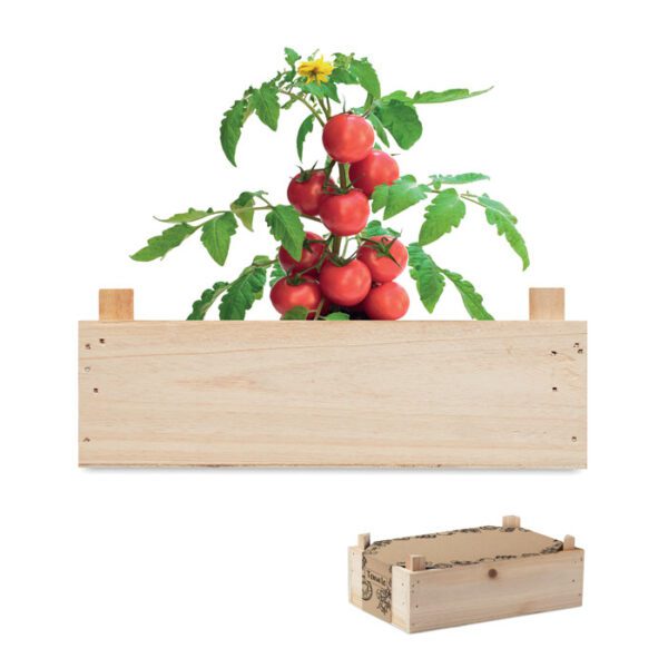 Mini-huerto tomates en caja TOMATO - Imagen 2