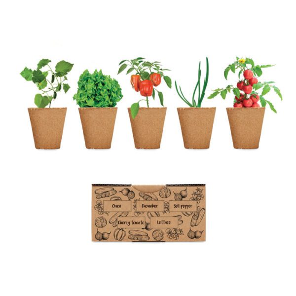 Kit de cultivo de verduras SALAD - Imagen 2