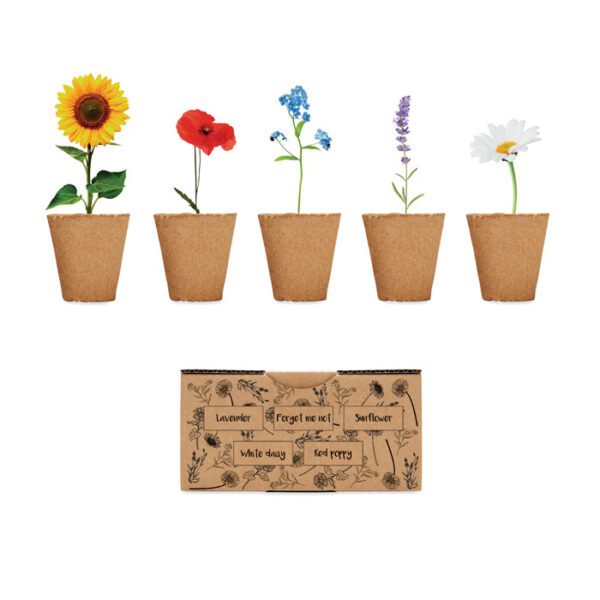 Kit de cultivo de flores FLOWERS - Imagen 2