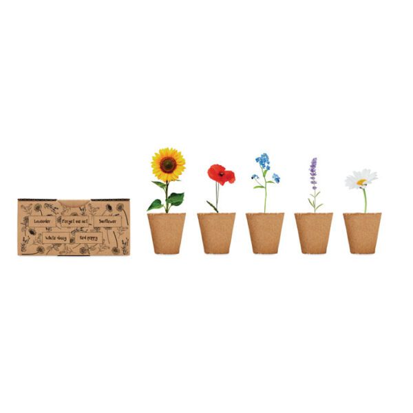 Kit de cultivo de flores FLOWERS - Imagen 5