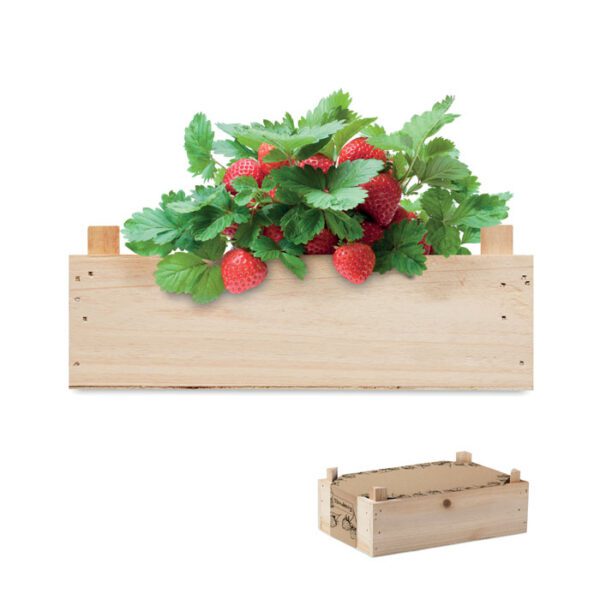 Kit de fresas en caja madera STRAWBERRY - Imagen 2