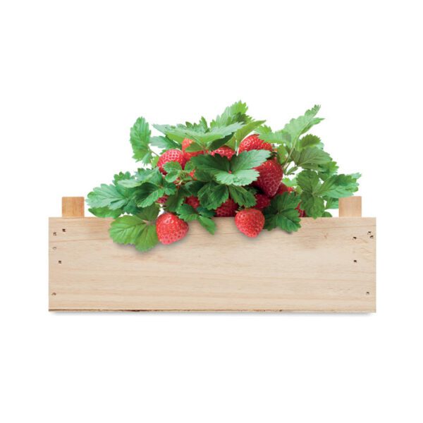 Kit de fresas en caja madera STRAWBERRY - Imagen 5