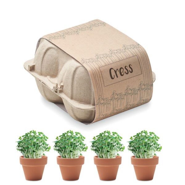 Kit de cultivo en huevera CRESS - Imagen 2