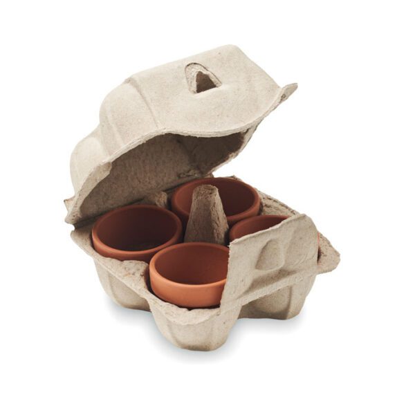 Kit de cultivo en huevera CRESS - Imagen 4