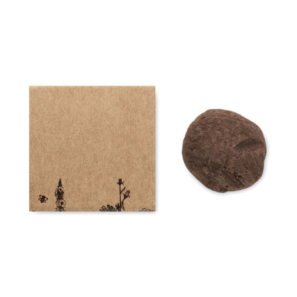 Kit semillas flores de abeja BOMBI II - Imagen 4