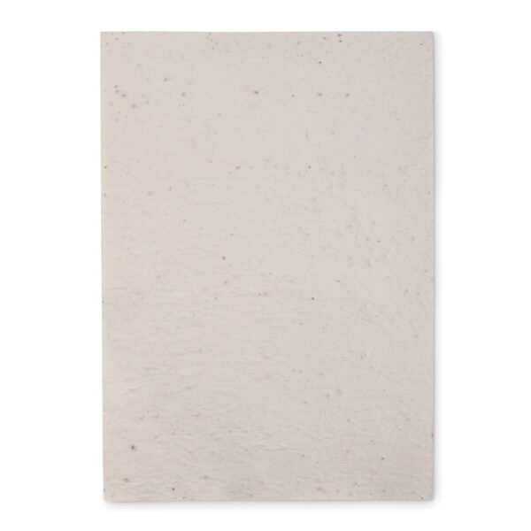 Hoja A4 de papel con semillas ASIDI - Imagen 3