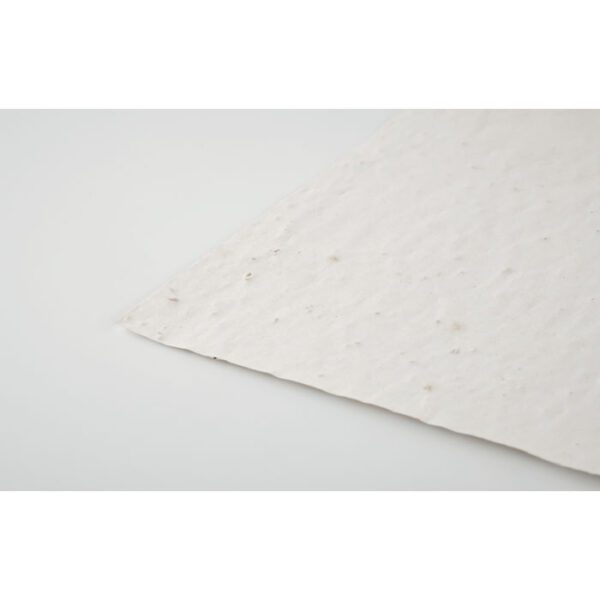Hoja A4 de papel con semillas ASIDI - Imagen 4
