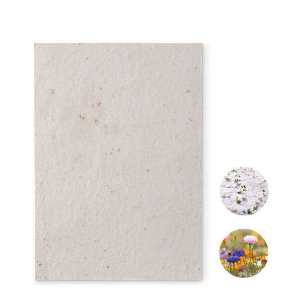 Hoja A5 de papel con semillas ASIDE - Imagen 2