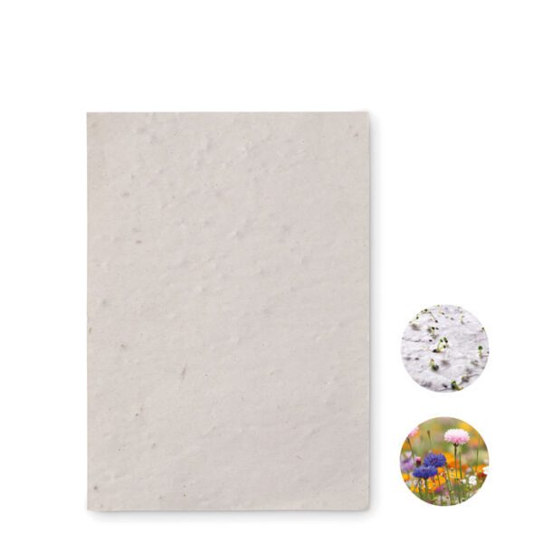 Hoja A6 de papel con semillas ASIDO - Imagen 2