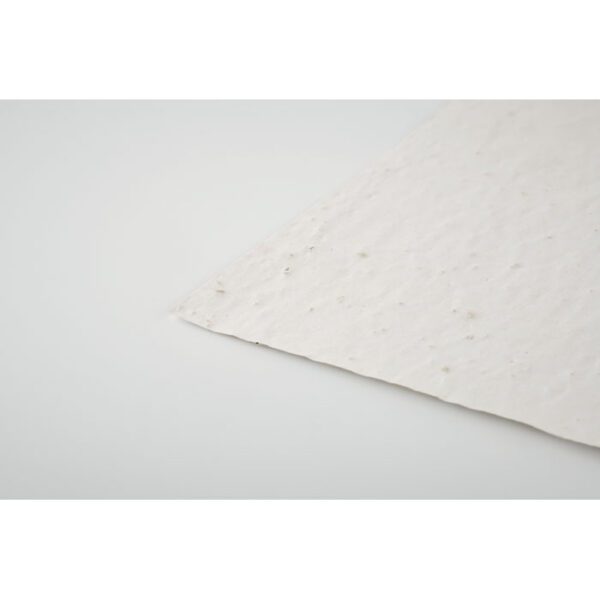 Hoja A6 de papel con semillas ASIDO - Imagen 6