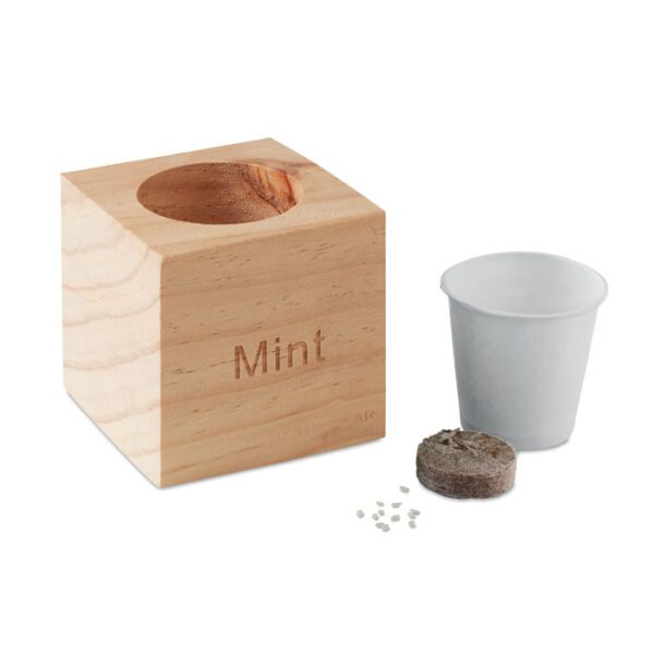 Maceta con semillas de menta MENTA - Imagen 3