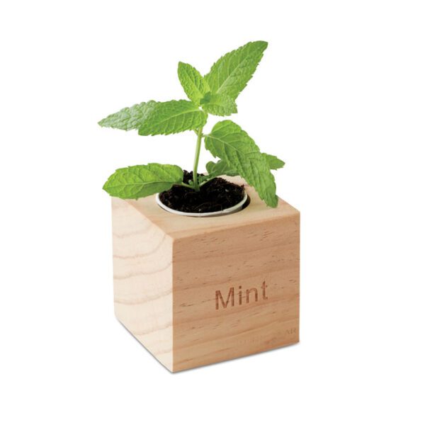 Maceta con semillas de menta MENTA - Imagen 4