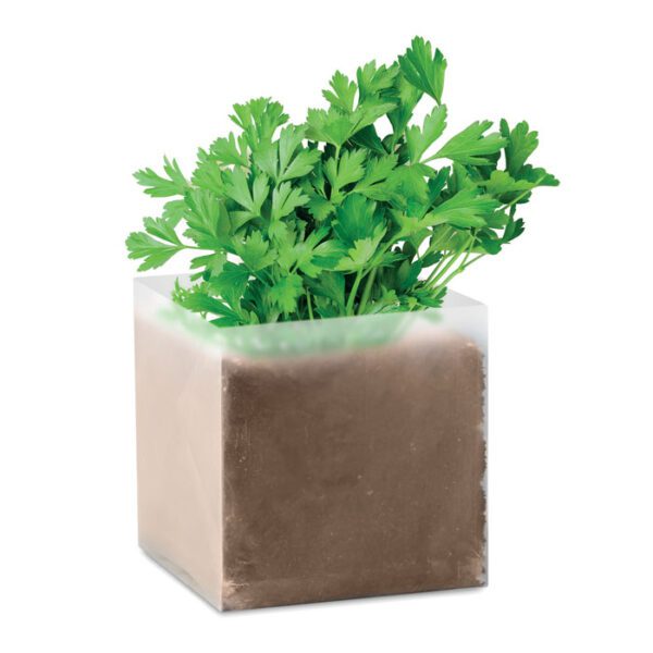 Bolsa con semillas de perejil PARSELY - Imagen 2