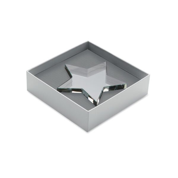Premio estrella de cristal STARWARD - Imagen 4