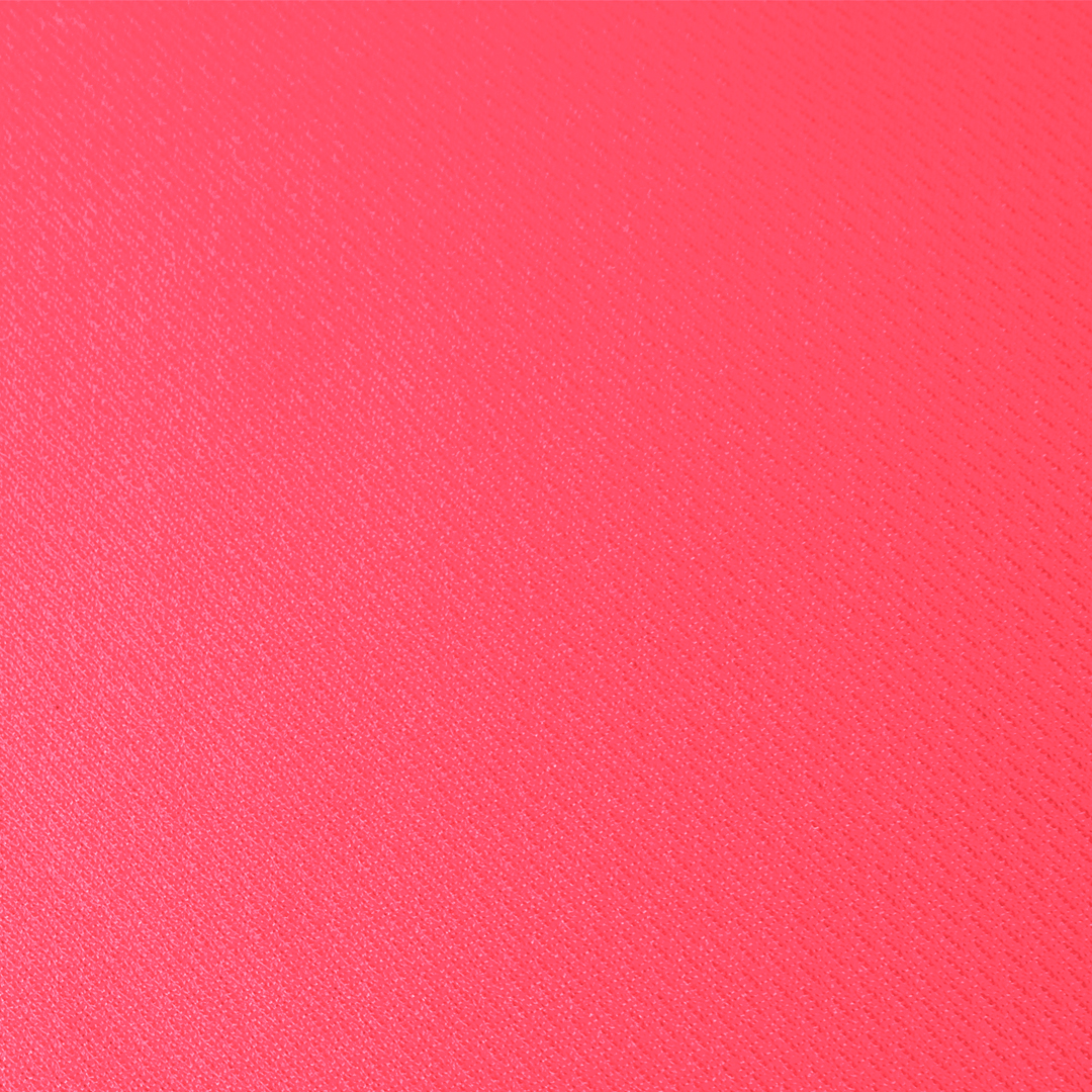 Camiseta Mujer Cocker - Imagen 5